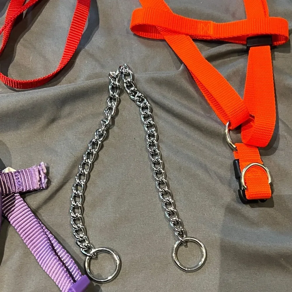 Lot of Pet Harness and Leash Set
